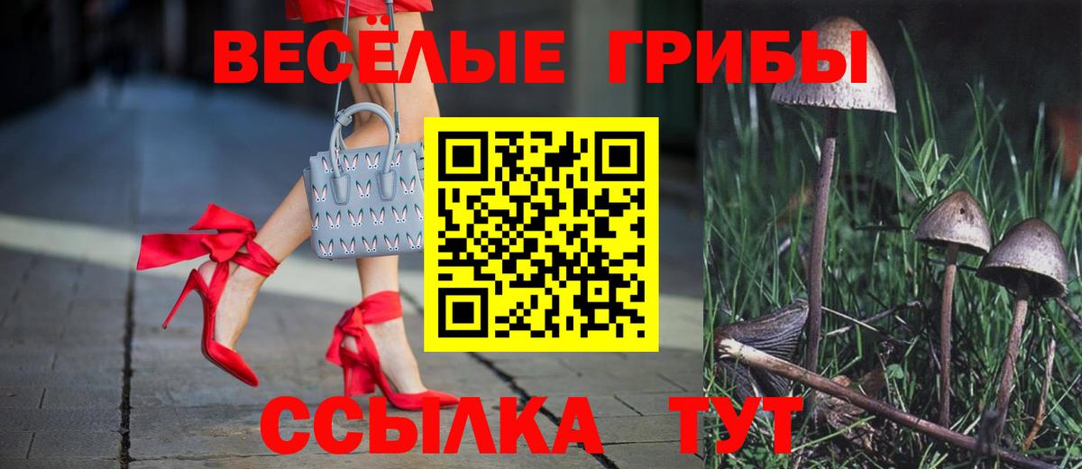 Псилоцибиновые грибы Cubensis  Вход с VPN  Котельники 